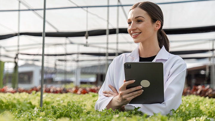 Pioneering the Future of Energy-Neutral Connectivity: From REINDEER to AMBIENT-6G